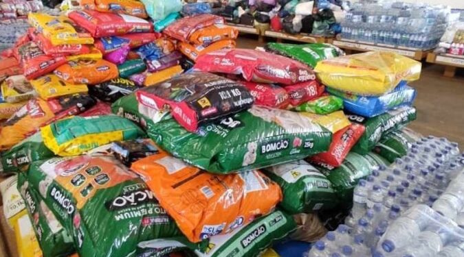 Rio do Sul inicia arrecadação de ração, testes sorológicos e medicamentos para animais