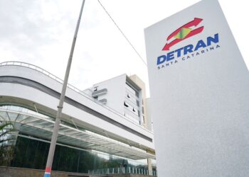 Detran derruba 15 sites falsos a cada semana