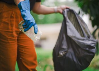 Dengue em SC: cuidados e prevenção devem continuar mesmo no inverno