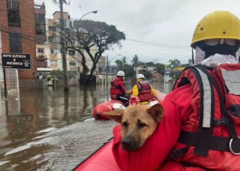 Bombeiros de SC salvaram mais de 3.500 vidas no RS