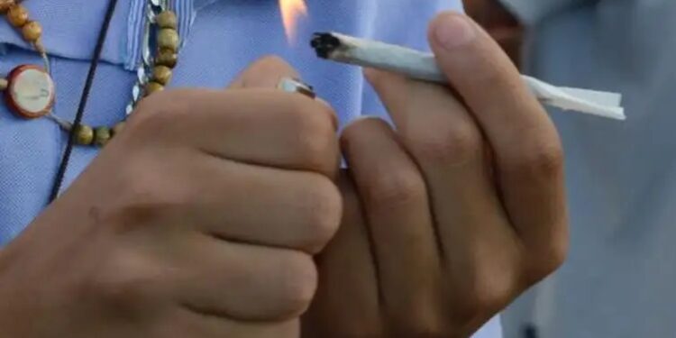 Entenda a decisão do STF sobre descriminalização do porte de maconha