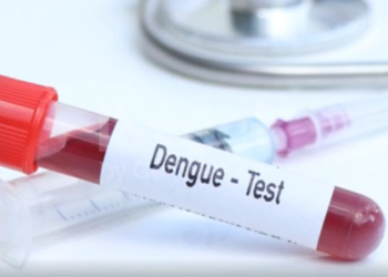 Brasil se aproxima de 6 milhões de casos e 4 mil mortes por dengue