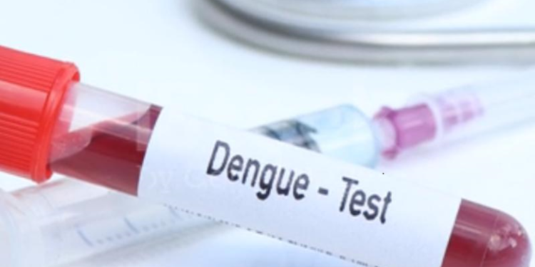 Brasil se aproxima de 6 milhões de casos e 4 mil mortes por dengue