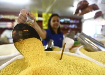 Em 2023, população brasileira ocupada passou dos 100 milhões