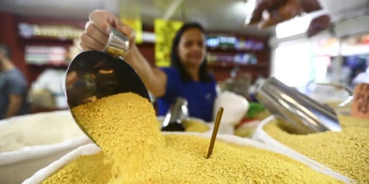 Em 2023, população brasileira ocupada passou dos 100 milhões