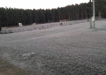 Região de Jaraguá do Sul volta a registrar temperaturas baixas e geada