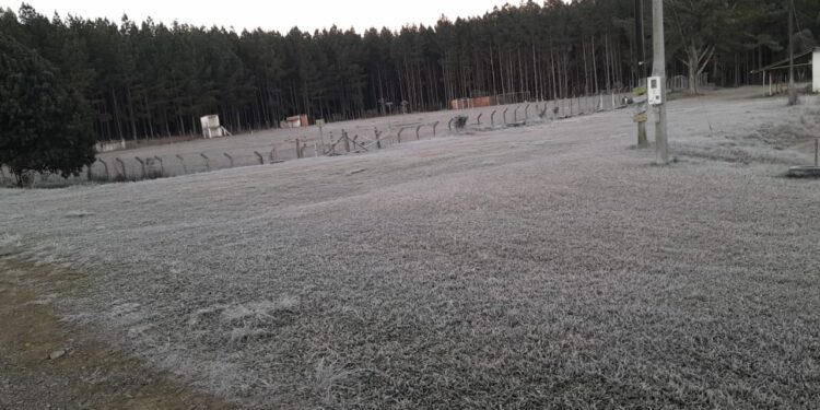 Região de Jaraguá do Sul volta a registrar temperaturas baixas e geada